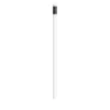 BIC®  Evolution® Classic Ecolutions® crayon