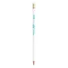 BIC®  Evolution® Classic Ecolutions® crayon