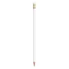 BIC®  Evolution® Classic Ecolutions® crayon