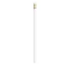 BIC®  Evolution® Classic Ecolutions® crayon