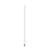 BIC®  Evolution® Classic Cut Ecolutions® crayon