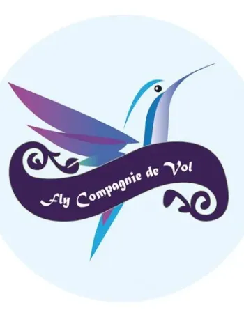 AUTOCOL. QUADRI 501/1000CM2