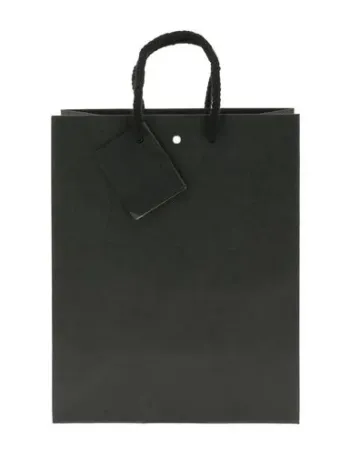 SAC LUXE 18x22.7x10CM