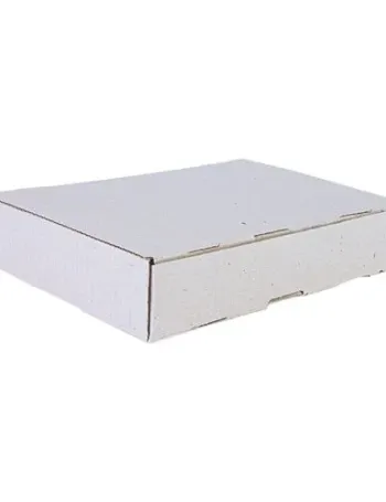 BOITE CARTON 22,4*15*4,8 CM