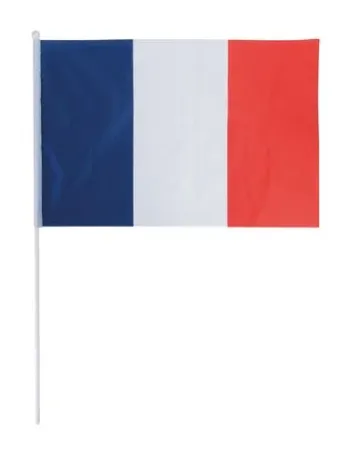 DRAPEAU FRANCAIS 45X30CM