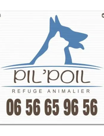 SERIGRAPHIE MAXI 97X68 CM