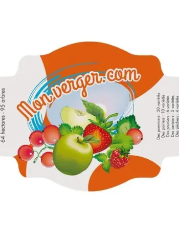 AUTOCOL.REPOS.BC 31/50 CM2