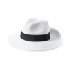 Chapeau Teilor blanc 1 Chapeau Teilor