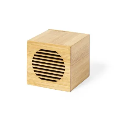 Haut-Parleur Teoden