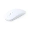 Souris Chestir RCS