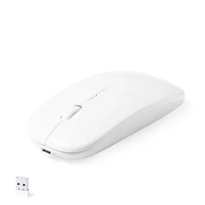 Souris Chestir RCS