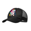 Casquette Flecher