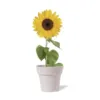 Pot de Fleurs Tumil