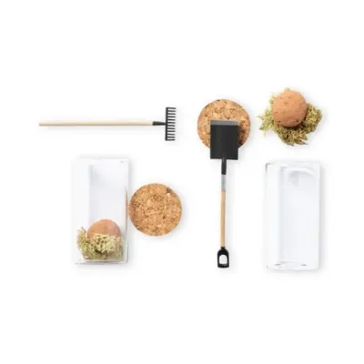 Bonbon Graines Winsu