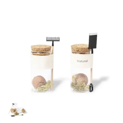 Bonbon Graines Winsu