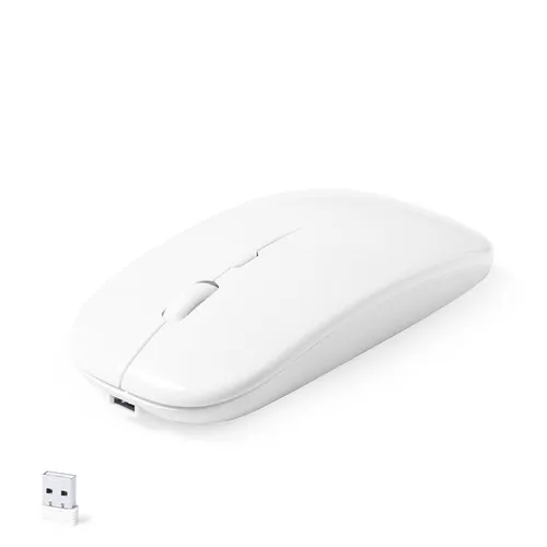 Souris Chestir RCS