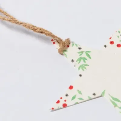 Ornement Noël Ensemencé Boster