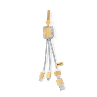 Câble de Charge Braxton