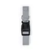 Collier Mastif