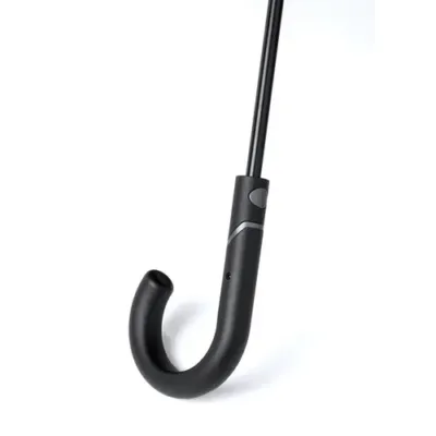 Parapluie Dewey