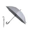 Parapluie Dewey