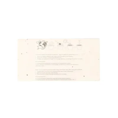 Boîte Crayons Ensemencé Delar