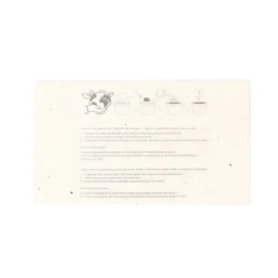 Boîte Crayons Ensemencé Fyser