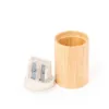 Taille-Crayon Dilaver