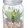 Plante Décorative Kyala