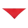 Foulard Wasat rouge 1 Foulard Wasat
