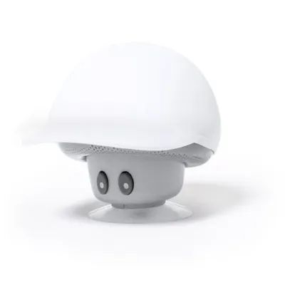 Haut-Parleurs Heston