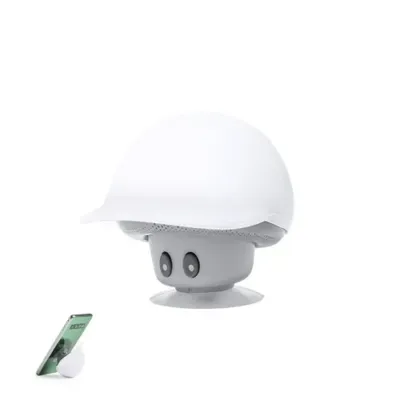 Haut-Parleurs Heston