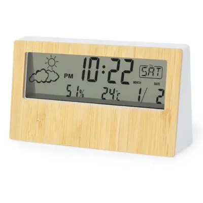 Station Météo Roamer