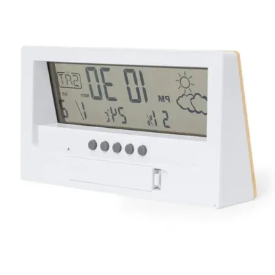 Station Météo Roamer