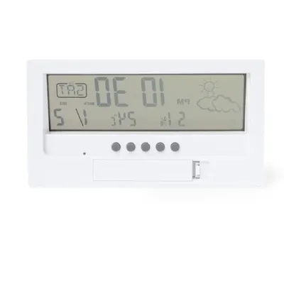 Station Météo Roamer