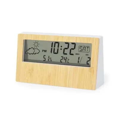 Station Météo Roamer