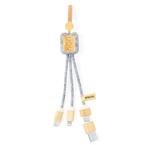 Câble de Charge Braxton