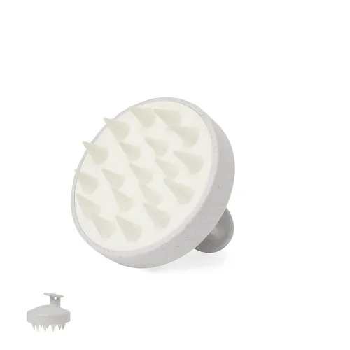 Émulsionneur Nocote