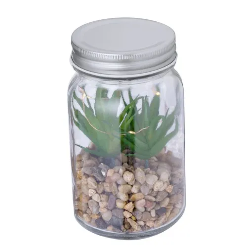 Plante Décorative Kyala