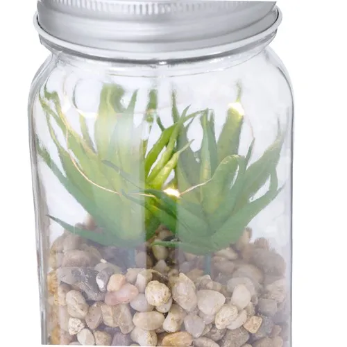 Plante Décorative Kyala