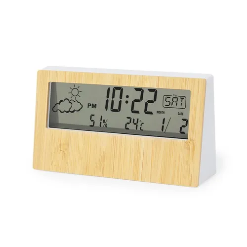 Station Météo Roamer