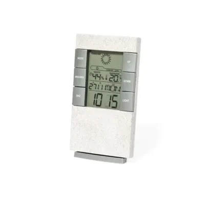 Station Météo Maginly