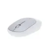 Souris Doryt RCS