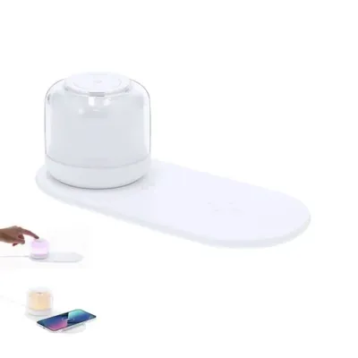 Lampe Chargeur Reginal