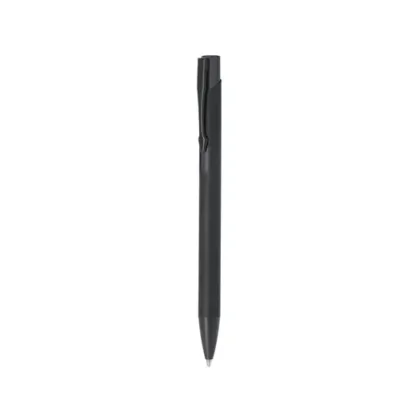 Stylet Vieso