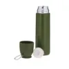 Thermo Clorin