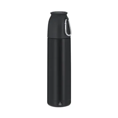 Thermo Clorin