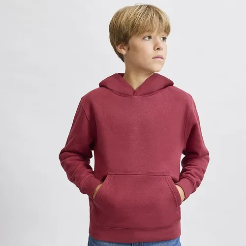 Sweat-Shirt Enfant Draco à personnaliser
