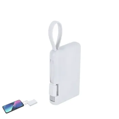 Power Bank Brandin
