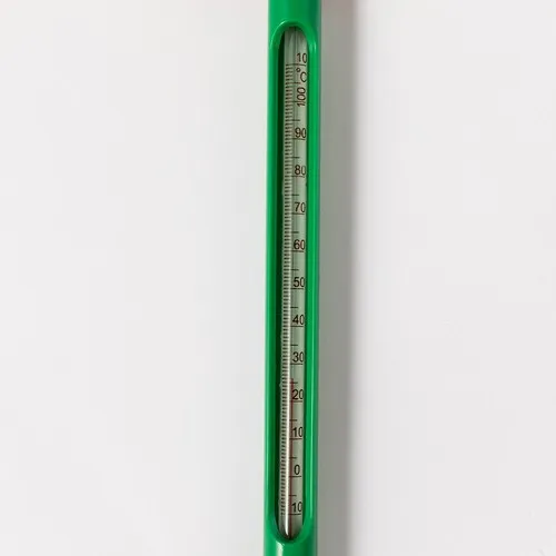 Thermomètre Cuisine Cynex